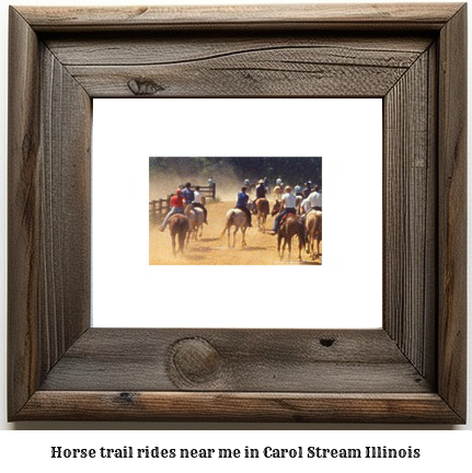 horse trail rides near me in Carol Stream, Illinois